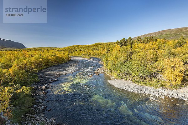 Fluss Abiskojåkka mit herbstlicher Landschaft  Abisko Nationalpark  Norrbotten  Lappland  Schweden  Europa