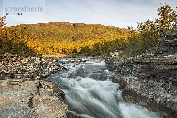 Herbstlicher Abisko Canyon  Fluss Abiskojåkka  Abiskojakka  Abisko Nationalpark  Norrbotten  Lappland  Schweden  Europa