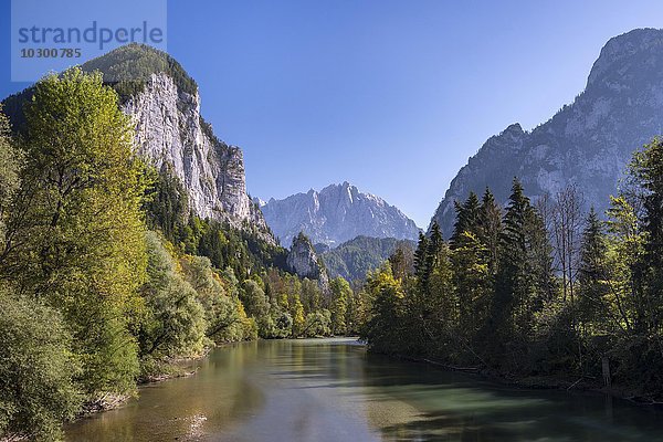 Gesäuseeingang  Fluss Enns  hinten Großer Ödstein  Nationalpark Gesäuse  Steiermark  Österreich  Europa