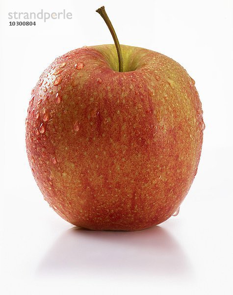 Apfel (Malus) vor weißem Hintergrund