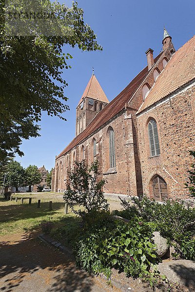 St.-Marien-Kirche  Grimmen  Mecklenburg-Vorpommern  Deutschland  Europa