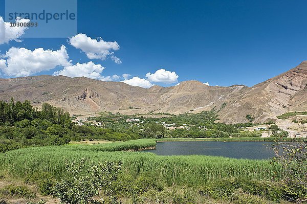 Bergsee mit Schilfgürtel am Ufer  Evan See  Moallem Kalayeh  Alamut Region  Provinz Qazvin  Elburs-Gebirge  Iran