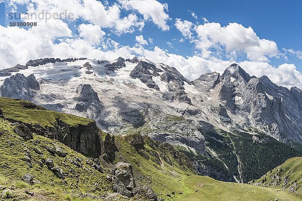 Marmolata-Massiv  Nordseite  3343 m  höchster Berg der Dolomiten  Blick von der Porta Vescovo  Dolomiten  Alpen  Trentino-Alto Adige  Südtirol  Italien  Europa
