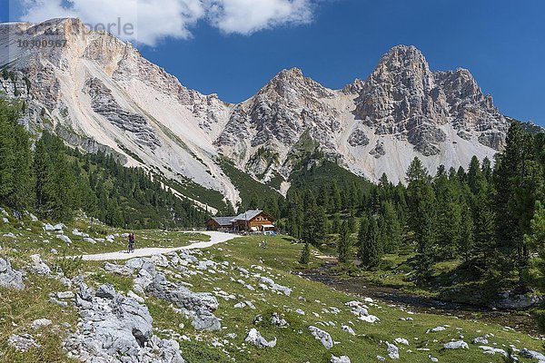 Wanderweg von Pederü zur Kleinen Fanesalm  hinten die Eisengabelspitze  Fanes-Gruppe  Naturpark Fanes-Sennes-Prags  Dolomiten  Alpen  Südtirol  Italien  Europa