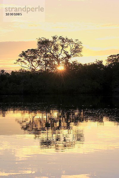 Rio Pixaim Pantanal  Fluss  Flusslandschaft  Abendlicht  Sonnenuntergang  Pantanal  Mato Grosso  Brasilien  Südamerika