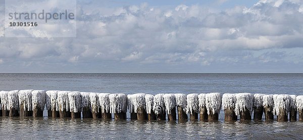 Mit Schnee und Eis bedeckte Buhnen in der Ostsee  Rügen  Mecklenburg-Vorpommern  Deutschland  Europa