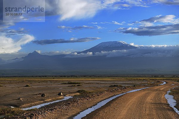 Weite Landschaft mit Straße  hinten Kilimandscharo im Morgenlicht  Amboseli  Kenia  Afrika