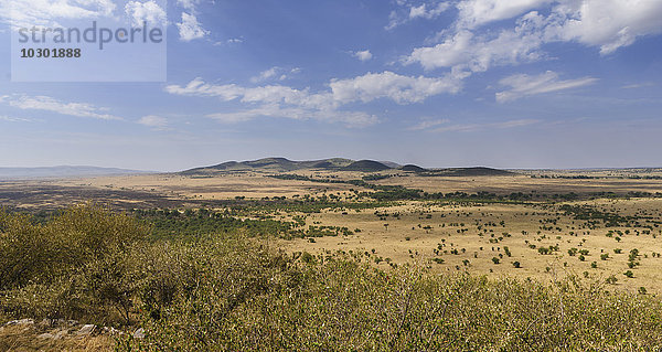 Weite Landschaft in der Masai Mara am Sand River mit Blick in die nördliche Savanne der Serengeti  Lamai Wedge  Masai Mara  Narok County  Kenia  Afrika