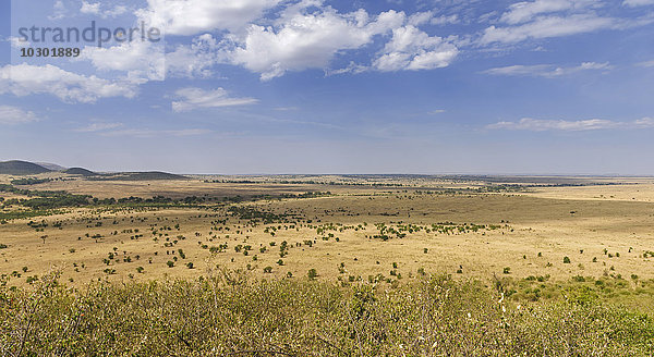 Weite Landschaft in der Masai Mara am Sand River mit Blick in die nördliche Savanne der Serengeti  Lamai Wedge  Masai Mara  Narok County  Kenia  Afrika
