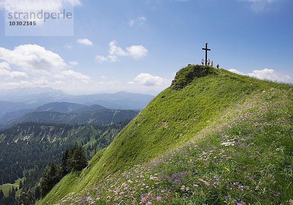 Gipfelkreuz und Bergblumen auf Hochgern  Unterwössen  Chiemgauer Alpen  Oberbayern  Bayern  Deutschland  Europa