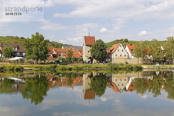 Main und Frickenhausen am Main  Mainfranken  Unterfranken  Franken  Bayern  Deutschland  Europa