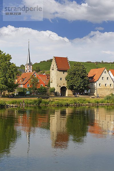 Main und Frickenhausen am Main  Mainfranken  Unterfranken  Franken  Bayern  Deutschland  Europa