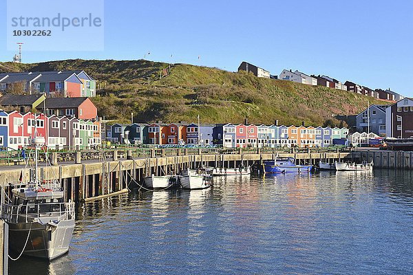 Binnenhafen mit Booten und bunten Hummerbuden  Helgoland  Schleswig-Holstein  Deutschland  Europa