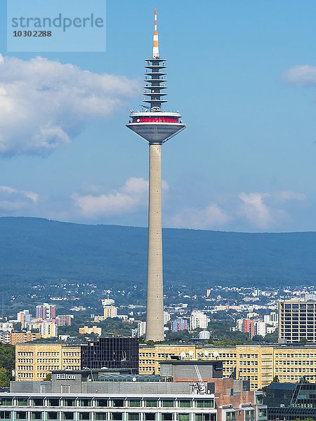 Skyline mit Fernsehturm  Frankfurt am Main  Hessen  Deutschland  Europa