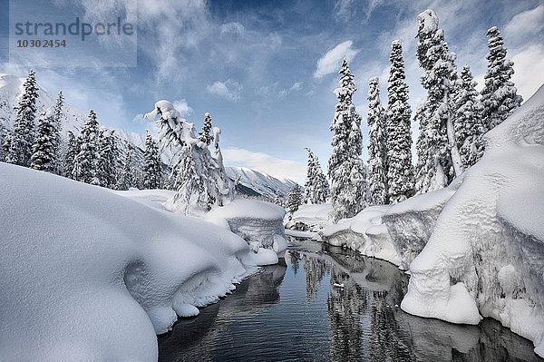 Hoher Schnee am Bench Creek  Turnagain Pass  Alaska  USA  Nordamerika