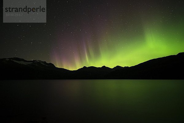 Aurora borealis über dem Prinz-William-Sund  Alaska  USA  Nordamerika