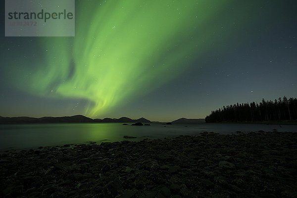 Aurora borealis und Mondschein über dem Prinz-William-Sund  Alaska  USA  Nordamerika
