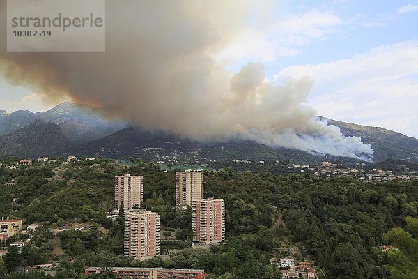 Waldbrand bei Castellar über Menton  Alpes Maritimes  Provence-Alpes-Côte d?Azur  Frankreich  Europa
