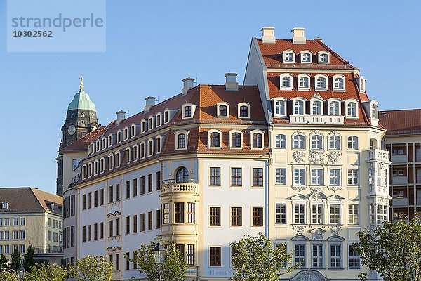 Heinrich-Schütz-Haus und Köhlersches Haus am Neumarkt  Dresden  Sachsen  Deutschland  Europa