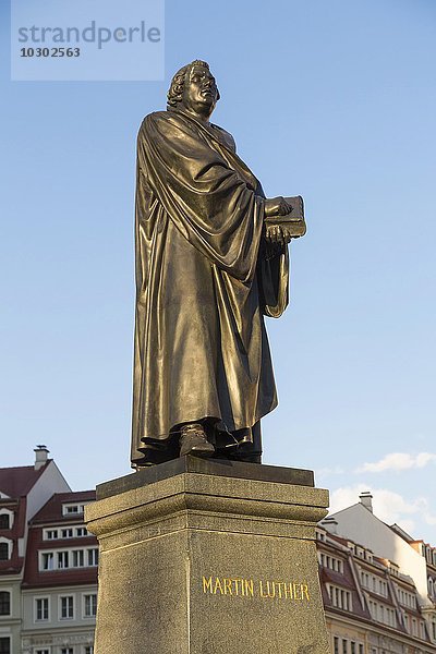 Denkmal von Martin Luther auf dem Neumarkt  Dresden  Sachsen  Deutschland  Europa