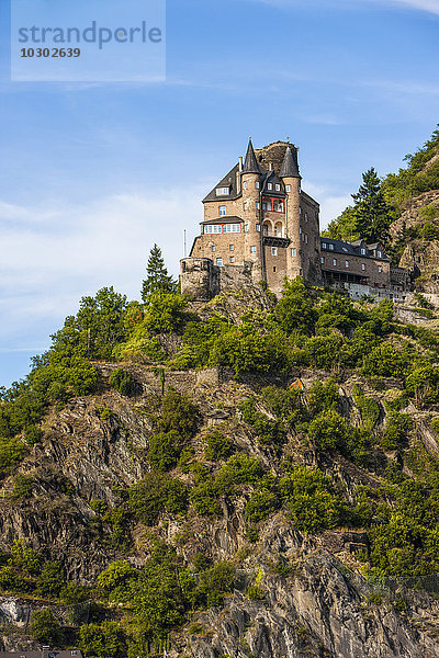 Burg Gutenfels oberhalb von Kaub  Mittelrhein  Deutschland  Europa