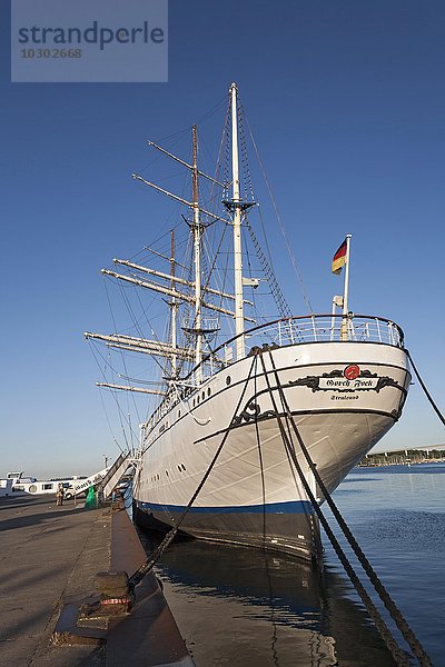 Gorch Fock  Hafen  Stralsund  Mecklenburg-Vorpommern  Deutschland  Europa