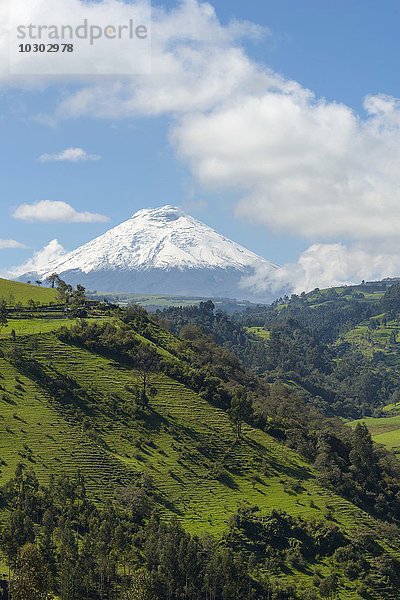 Vulkan Cotopaxi  Provinz Cotopaxi  Ecuador  Südamerika