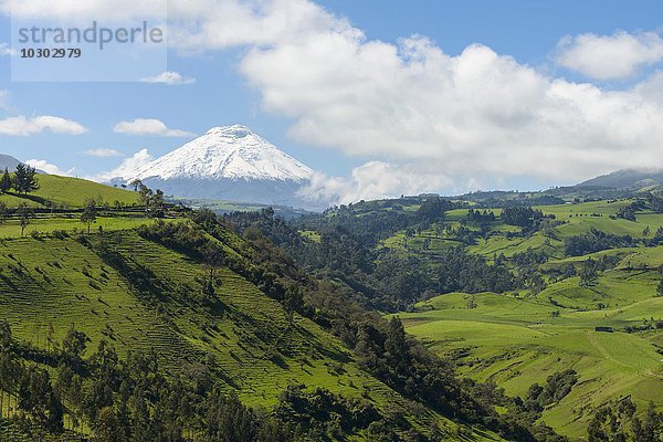 Vulkan Cotopaxi  Provinz Cotopaxi  Ecuador  Südamerika