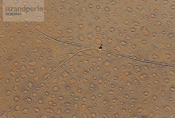 Luftbild aus einem Heißluftballon  ein Fahrzeug der Bodencrew eines Heißluftballons auf der Sandebene mit sogenannten Feenkreisen am Rande der Namib-Wüste  NamibRand-Naturreservat  Namibia  Afrika