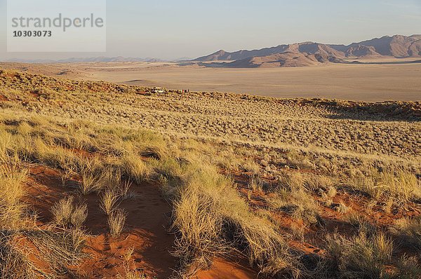 Landschaft mit Buschmanngras (Stipagrostis sp.) am Rande der Namib-Wüste bei den exklusiven Wolwedans Safari-Camps  NamibRand-Naturreservat  Namibia  Afrika