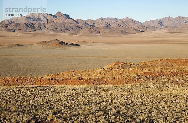 Mit Buschmanngras (Stipagrostis sp.) bewachsene Sanddünen  trockene Wüsteneben und isolierte Bergrücken am Rande der Namib-Wüste bei den exklusiven Wolwedans Safari-Camps  NamibRand-Naturreservat  Namibia  Afrika