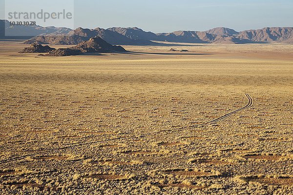 Mit Gras bedeckte Wüstenebene am Rande der Namib-Wüste  Feenkreise  kreisförmige Flecken ohne Vegetation  NamibRand-Naturreservat  Namibia  Afrika