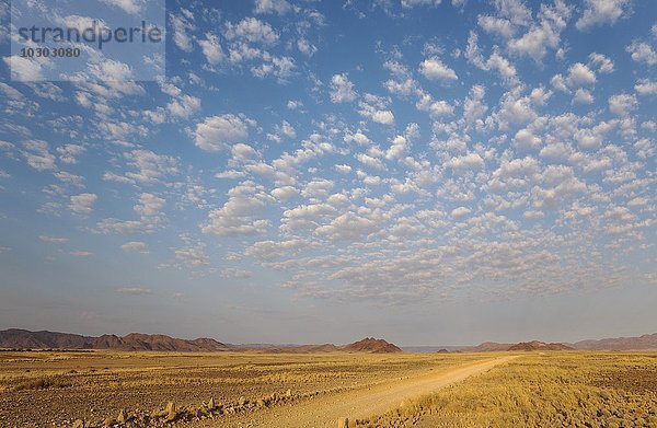 Schotterstraße auf Wüstenebene  isolierte Bergrücken  Schäfchenwolken  am Rande der Namib-Wüste  Abendlicht  Kulala Wilderness Reserve  Namibia  Afrika