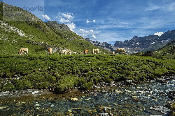 Cirque d'Estaube  Hautes Pyrénées  Frankreich  Europa