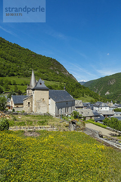 Ancizan  Hautes Pyrénées  Frankreich  Europa