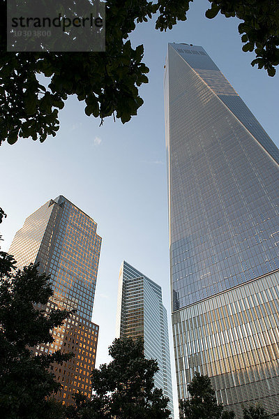One World Trade Center  Manhattan  New York City  New York  USA