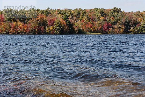 Sanfte Wellen auf dem See im Herbst