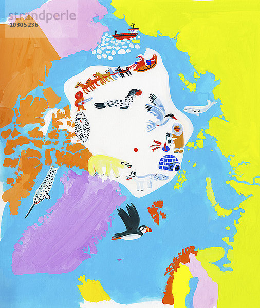 Illustrierte Karte des Nordpols