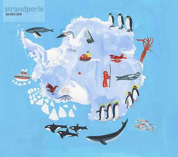 Illustrierte Karte der Antarktis