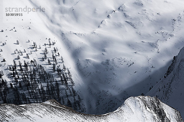 Österreich  Tirol  Ischgl  Bäume in der Winterlandschaft