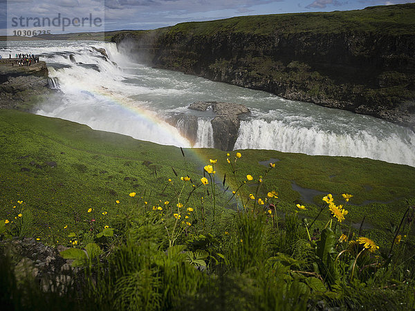 Gullfoss mit Regenbogen und Blumen