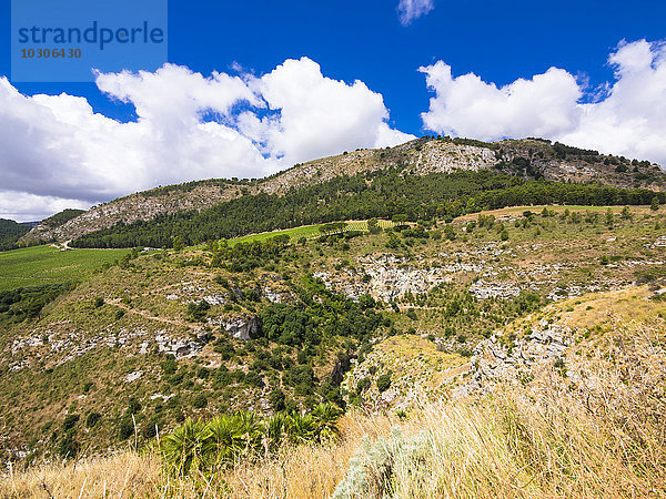 Italien  Sizilien  Calatafimi  Berge von Segesta