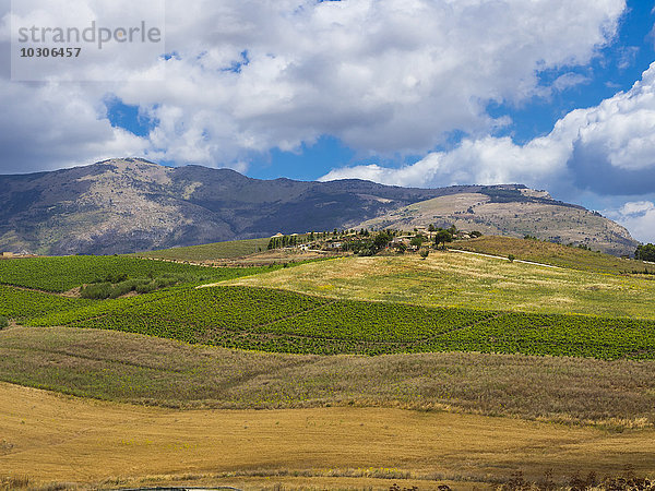 Italien  Sizilien  Catafalmi  Blick auf die Berge von Segesta