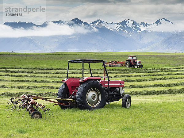 Zwei rote Traktoren auf einem Bauernhof  die auf einem Feld arbeiten und eine Grasernte schneiden.