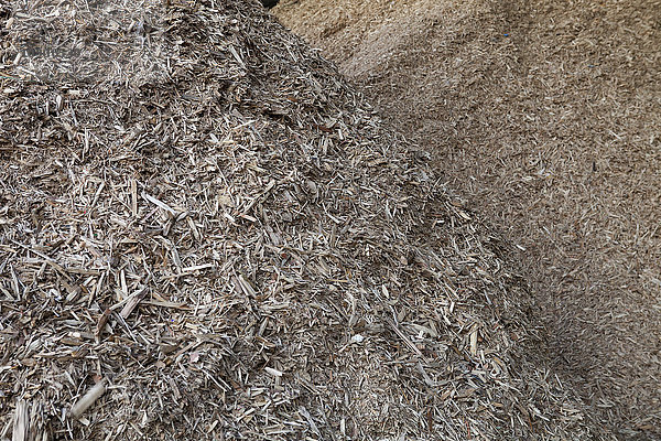 Gelagerte organische Abfälle  die sich in einem großen Lager für die Produktion von Biomassebrennstoff angehäuft haben.