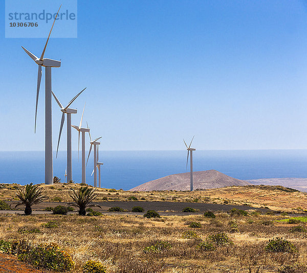 Spanien  Kanarische Inseln  Lanzarote  Los Valles  Windräder