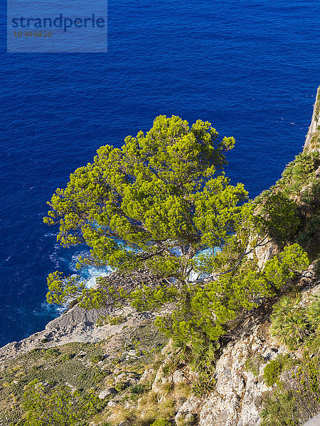 Spanien  Mallorca  Cap de Fermentor  Blick vom Mirador d'es Colomer nach unten