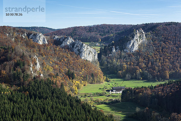 Deutschland  Baden Württemberg  Kreis Tuttlingen  Naturpark Obere Donau im Herbst