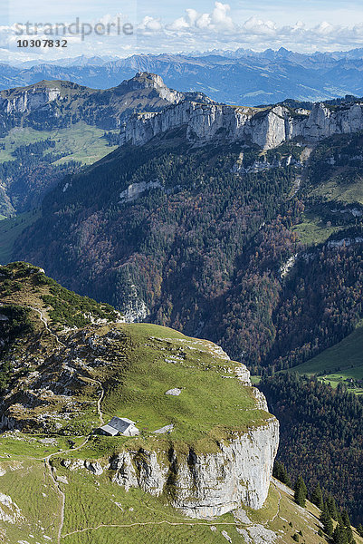 Schweiz  Kanton Appenzell Innerrhoden  Alp Chlus  Hoher Kasten im Hintergrund