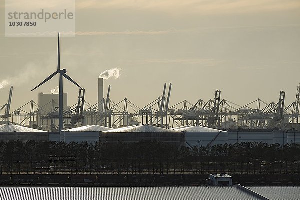 Niederlande  Rotterdam  Blick zum Hafen